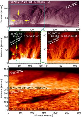 Mass Motion in a Prominence Bubble Revealing a Kinked Flux Rope Configuration